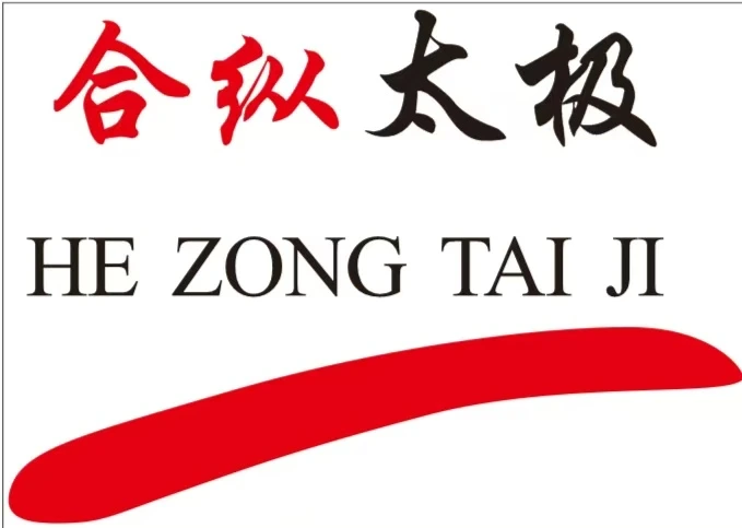 联系合纵太极